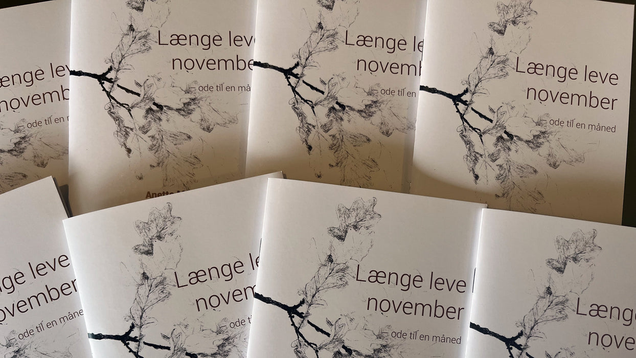 Længe leve november / forfattermøde