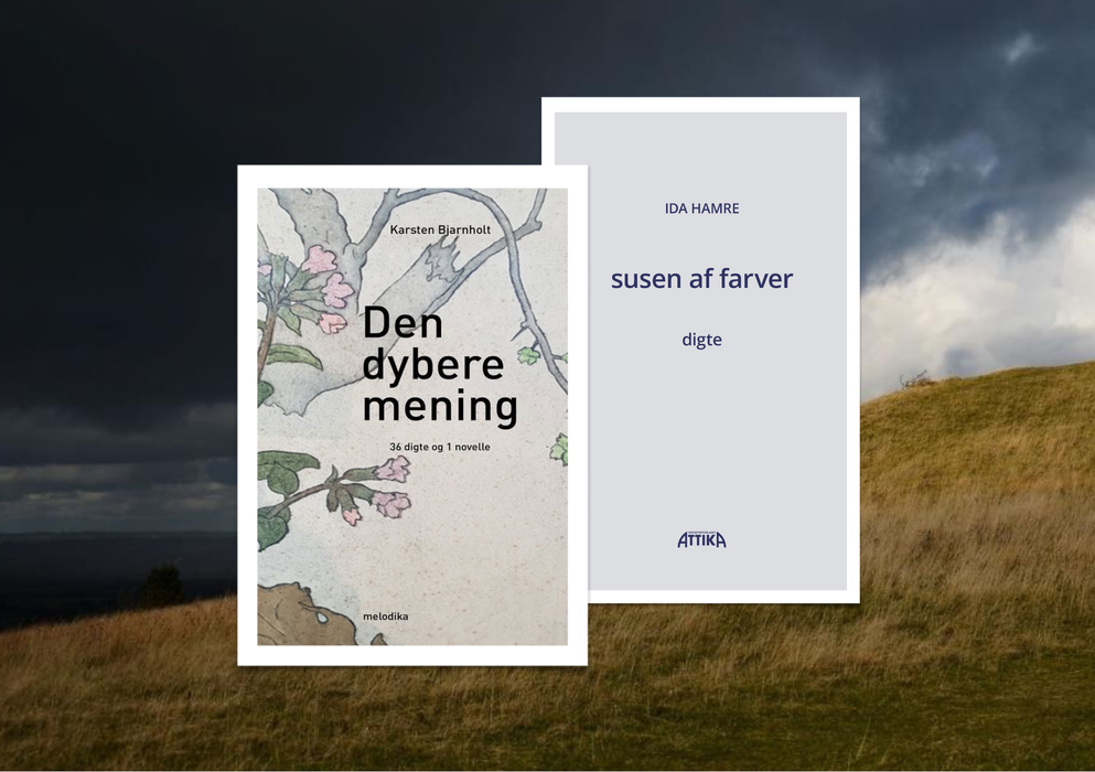 Et poetisk pas de deux – to stemmer i samspil / forfattermøde